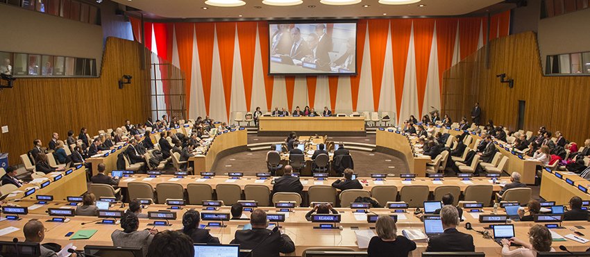 CIMAG granted UN Special Consultative Status
