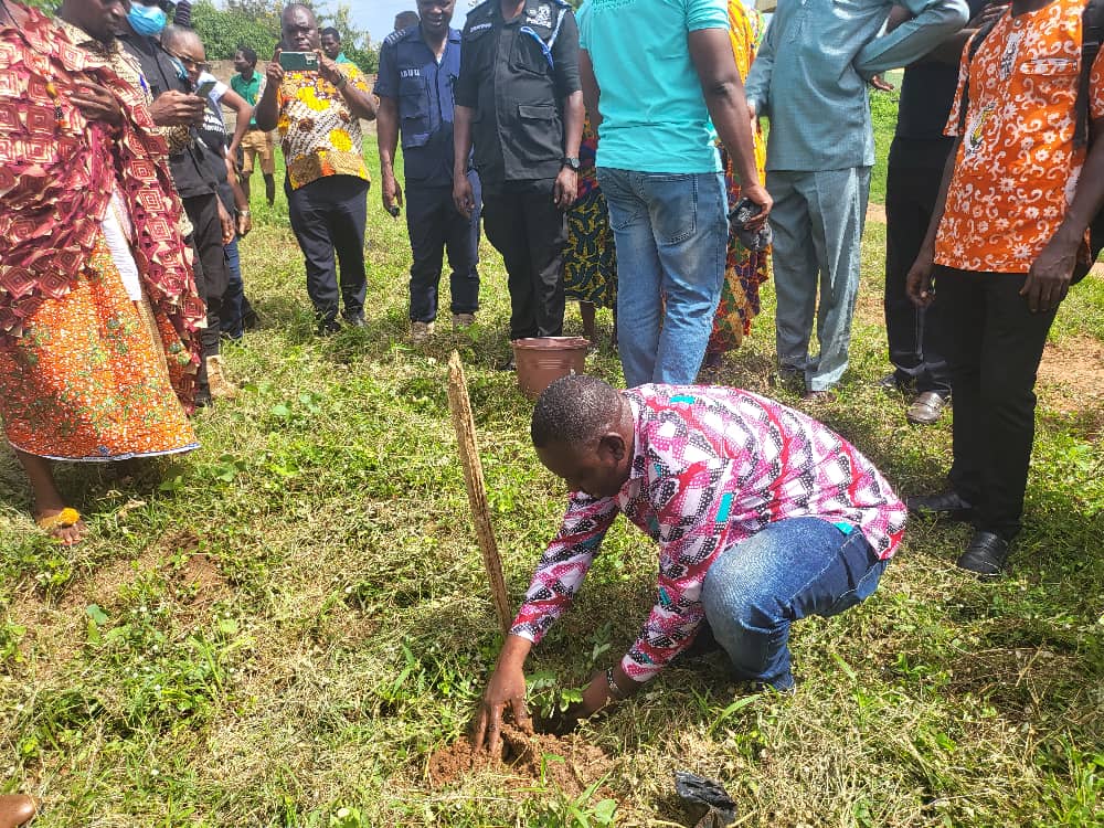 Kintampo North MP leads tree planting in Bono East Region
