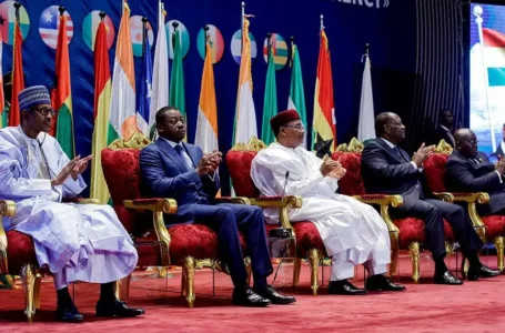 Chris Pitt Writes: ECOWAS: An Opportunity To Wage Peace, Not War