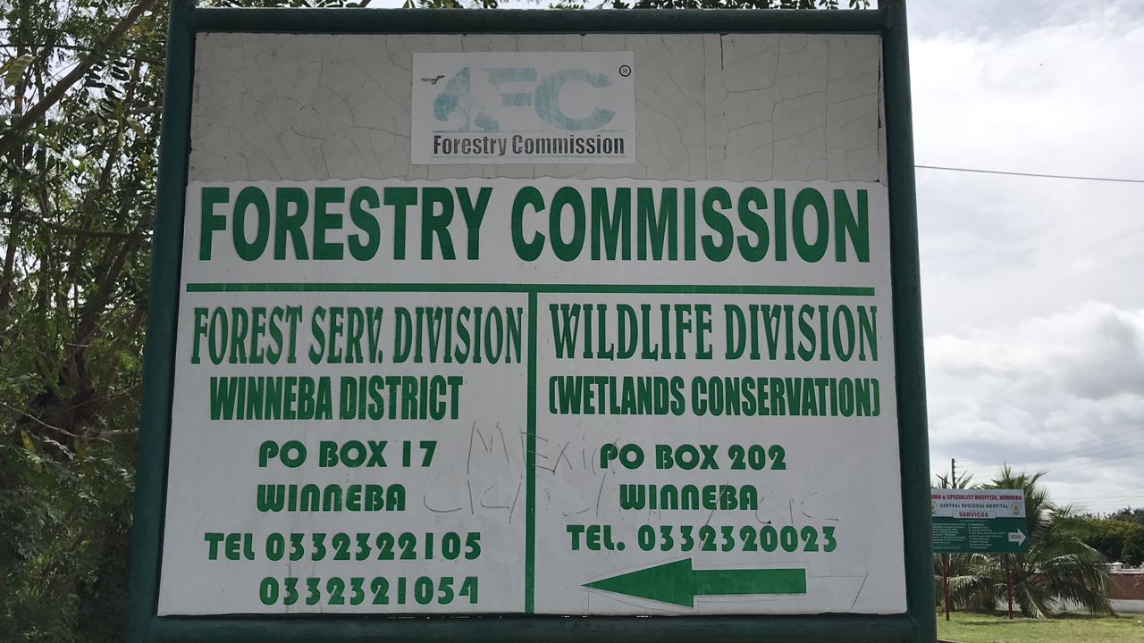 Central Region becomes ‘hotspot’ for destroying wildlife — Forestry Commission 