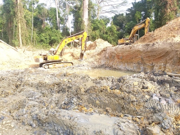 Pass an Act to forbid mining in forest reserves – MCAG to Parliament