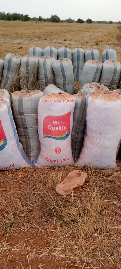 Rice farmers at Gbedembilisi lament as several bags go waste over failed promise