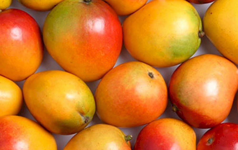 FDA warns against hazardous use of Calcium Carbide for ripening fruits