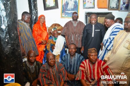 Vice President Bawumia receives rousing welcome in Wa