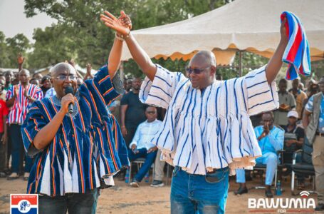 Vice President Bawumia to formalize small-scale mining when elected into office