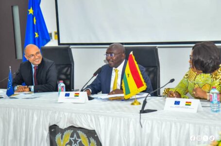 Bawumia calls for deepening of ties between Ghana and the EU to address crucial issues of mutual interest