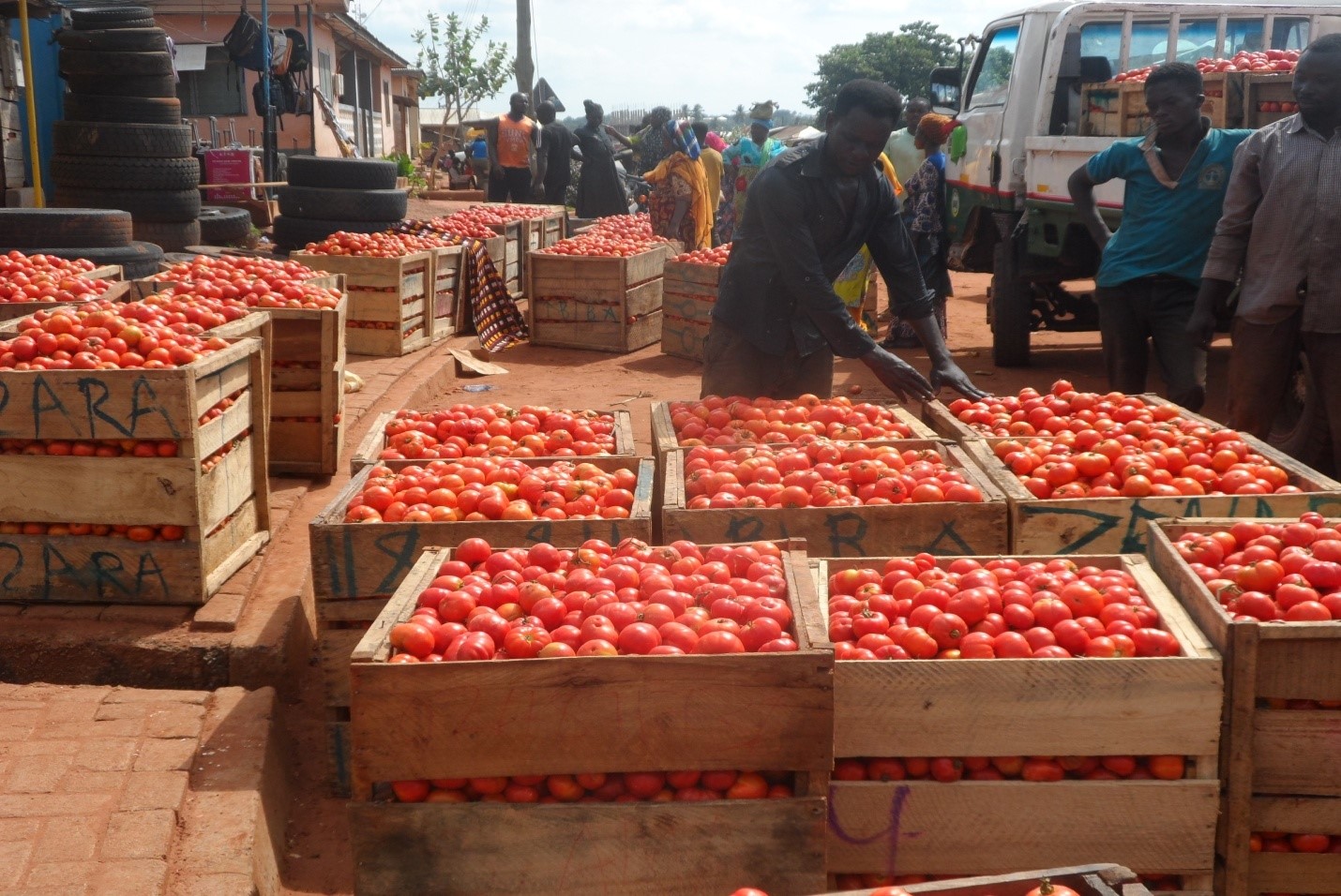 Tomato traders in Accra protest unfair crate reduction amidst soaring prices