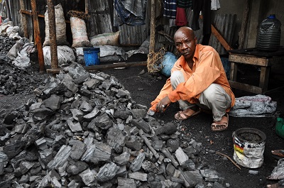 Ghana faces deforestation crisis amid surge in charcoal production
